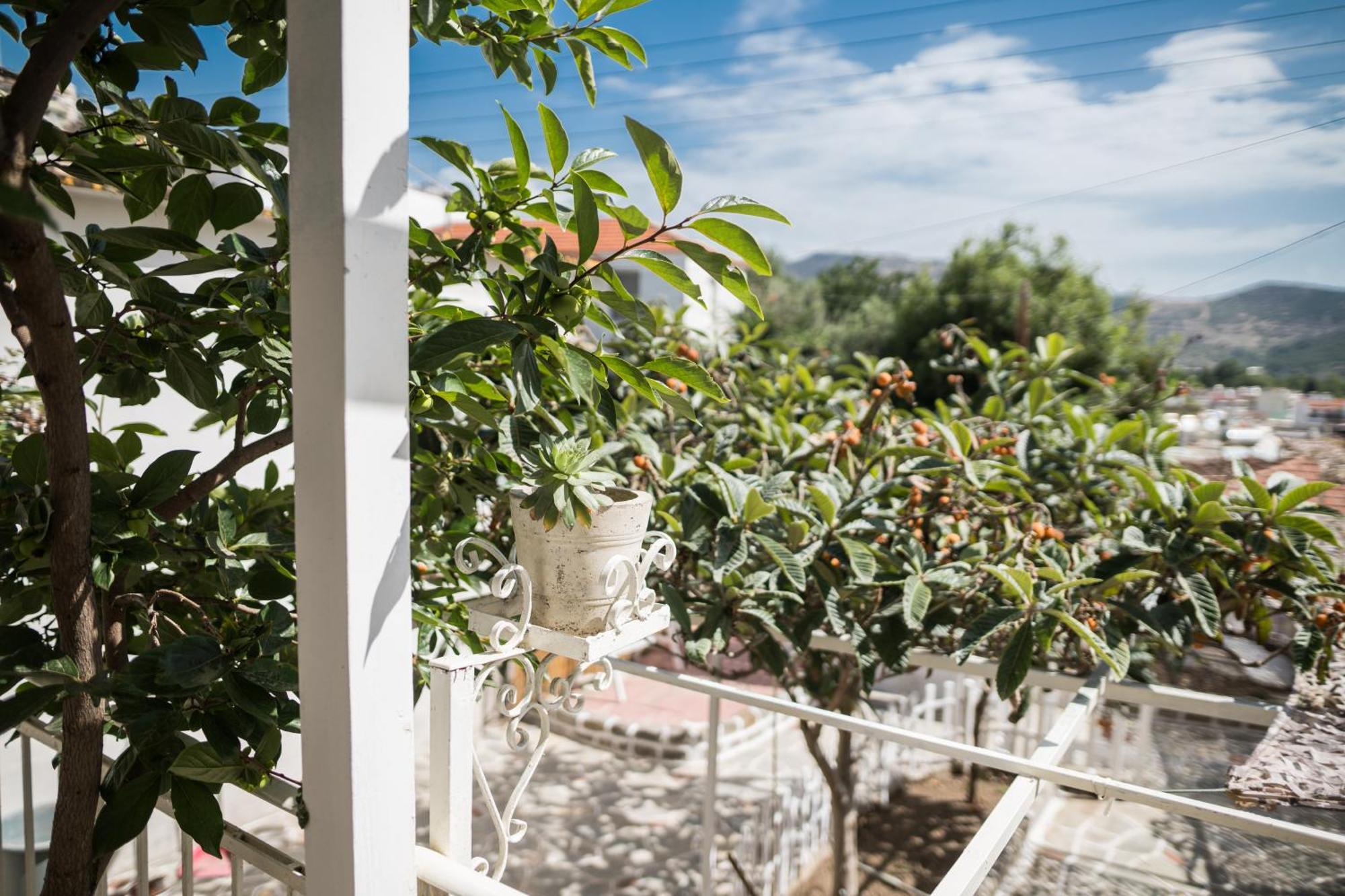 The Garden House Διαμέρισμα Καβάλα Εξωτερικό φωτογραφία