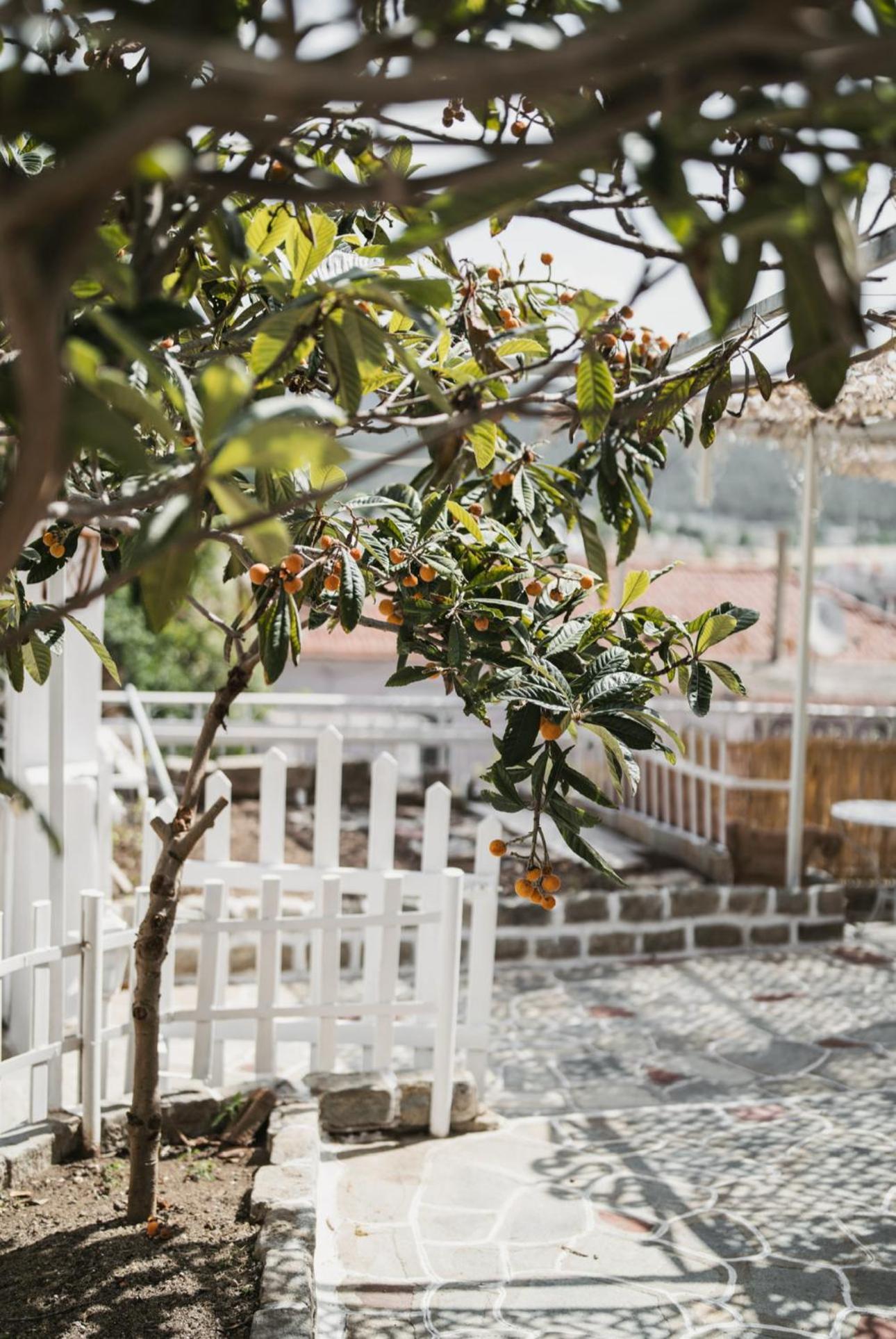 The Garden House Διαμέρισμα Καβάλα Εξωτερικό φωτογραφία