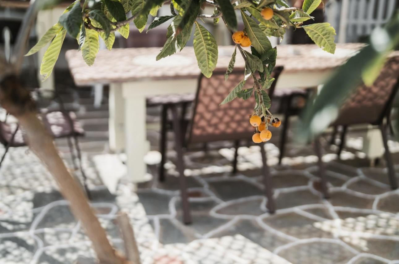 The Garden House Διαμέρισμα Καβάλα Εξωτερικό φωτογραφία